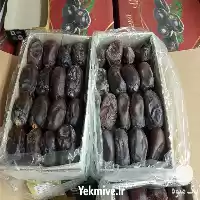 قیمت خرید عمده انواع خرما در مشهد در گروه خرید و فروش خرما در یکمیوه
