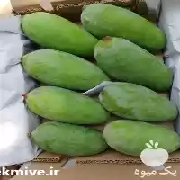 قیمت خرید میوه انبه در زاهدان در گروه خرید و فروش انبه در یکمیوه