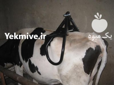 فروش جک بلند کننده گاو ایده آل در گروه تجهیزات دامداری در یکمیوه -عکس3