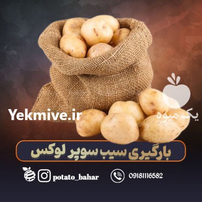سیب زمینی و سیر در همدان در گروه خرید و فروش سیب زمینی در یکمیوه -عکس3