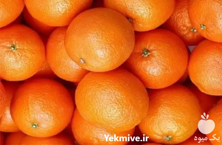 فروش پرتقال در تناژ های بالا در گروه خرید و فروش پرتقال در یکمیوه -عکس1