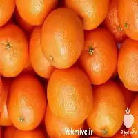 فروش پرتقال در تناژ های بالا در گروه خرید و فروش پرتقال در یکمیوه
