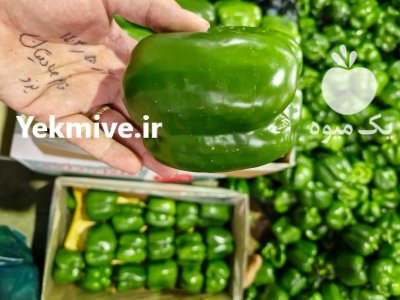فروش فلفل دلمه سبز گلخانه ای در گروه خرید و فروش فلفل در یکمیوه -عکس3