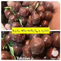 فروش نازلترین قیمت عناب خشک در بیرجند در گروه خرید و فروش گیاهان دارویی در یکمیوه