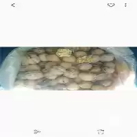 قیمت خرید گردو درجه 1 در تهران در گروه خرید و فروش گردو در یکمیوه