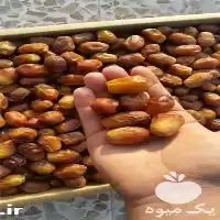 قیمت خرید عمده خرما مضافتی در کرمانشاه در گروه خرید و فروش خرما در یکمیوه