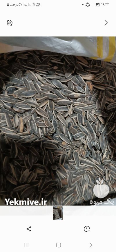 فروش انواع خشکبار صادراتی در تهران در گروه انواع خشکبار در یکمیوه -عکس3
