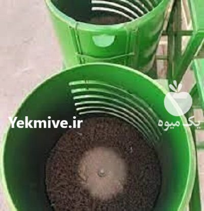 فروش دستگاه پوست کن گردو در ایوان  در گروه خرید و فروش دستگاه کشاورزی در یکمیوه -عکس1