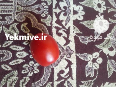 سلام گوجه در لالجین در گروه خرید و فروش رب در یکمیوه -عکس1