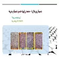 خرید قیمت پسته تهران عمده در گروه خرید و فروش پسته در یکمیوه