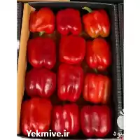فروش فلفل دلمه رنگی در اصفهان در گروه خرید و فروش فلفل در یکمیوه