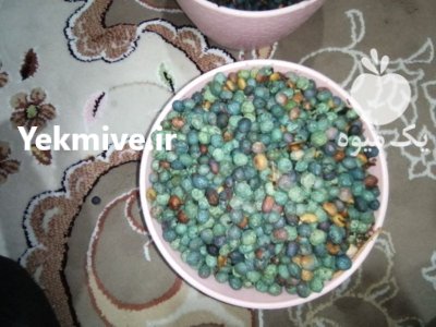 فروش بنه کوهی در گروه خرید و فروش گیاهان دارویی در یکمیوه -عکس1