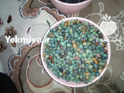 فروش بنه کوهی در گروه خرید و فروش گیاهان دارویی در یکمیوه -عکس2