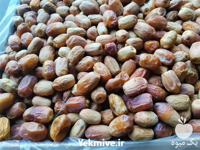 قیمت خرید خرما زاهدی در شیراز در گروه خرید و فروش خرما در یکمیوه -عکس1