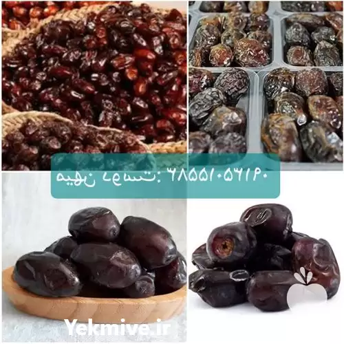 بازار فروش عمده مستقیم خرما ربی در خرم‌ آباد در گروه خرید و فروش خرما در یکمیوه -عکس1