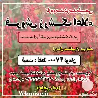 فروش زرشک طبیعی و اعلاء در گرگان در گروه خرید و فروش زرشک در یکمیوه