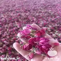 فروش قیمت غنچه گل محمدی خشک در اردبیل در گروه خرید و فروش گیاهان دارویی در یکمیوه