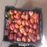 قیمت خرید میوه باغ در تهران در گروه خرید و فروش شلیل در یکمیوه