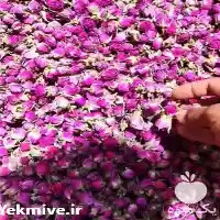 قیمت خرید عمده گل محمدی خشک در گرگان در گروه خرید و فروش گیاهان دارویی در یکمیوه