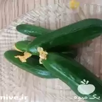 قیمت خرید خیار گلخانه ای در اصفهان در گروه خرید و فروش خیار در یکمیوه