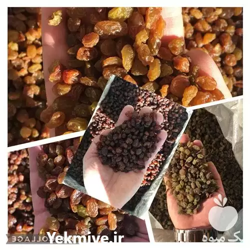 قیمت خرید انواع کشمش های شسته در همدان در گروه خرید و فروش آجیل در یکمیوه -عکس1