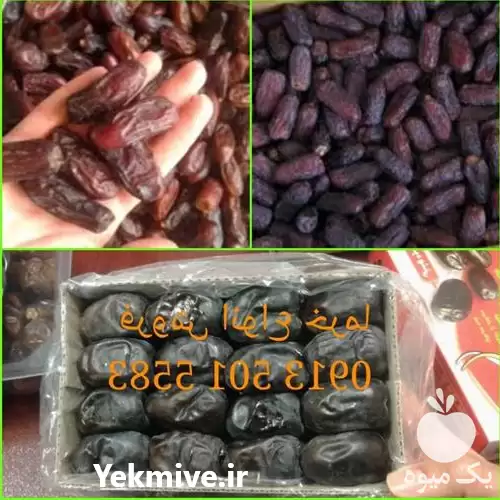 مرکز فروش عمده خرما مضافتی در تهران در گروه خرید و فروش خرما در یکمیوه -عکس1