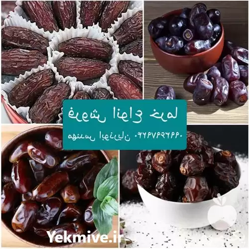 خرما مضافتی فروش عمده در گروه خرید و فروش خرما در یکمیوه -عکس1