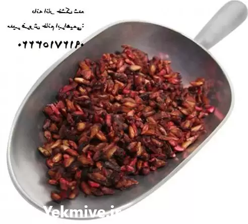 فروش عمده دانه انار خشک شده در گروه خرید و فروش انار در یکمیوه -عکس1