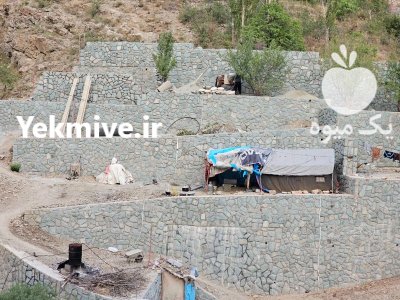 قیمت سنگ مالون دیوار سنگی در تهران در گروه سازنده در یکمیوه -عکس1