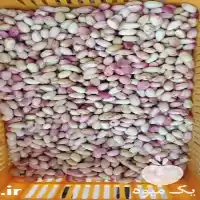 قیمت خرید ویژه انواع پسته تازه در تهران در گروه خرید و فروش پسته در یکمیوه