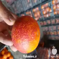 فروش پرتقال خونی و تامسون در گرگان در گروه خرید و فروش پرتقال در یکمیوه