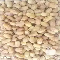 فروش خرمای درجه یک خاصویی در شیراز در گروه خرید و فروش خرما در یکمیوه