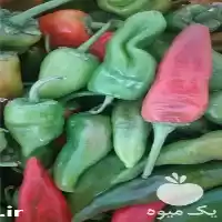 فروش فلفل سبز تند ارگانیک در تهران در گروه خرید و فروش فلفل در یکمیوه
