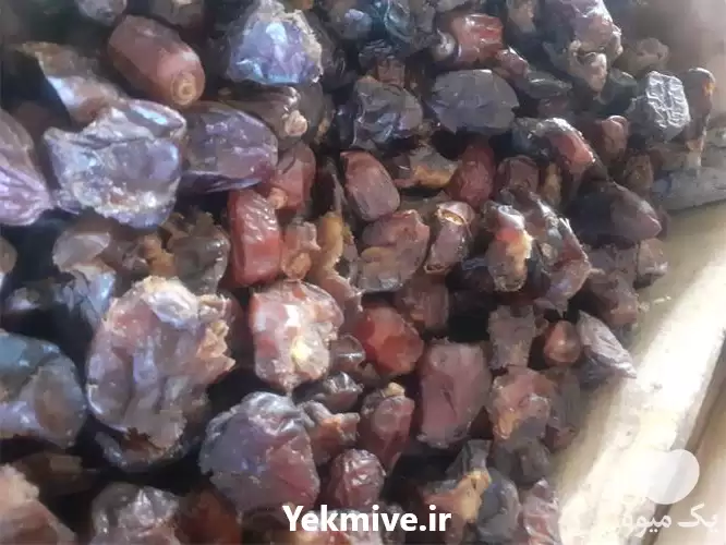 فروش خرما صنعتی سایر در گروه خرید و فروش خرما در یکمیوه -عکس1