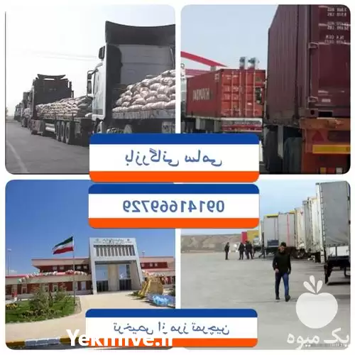 صادرات سیب درختی در گروه خرید و فروش سیب در یکمیوه -عکس1