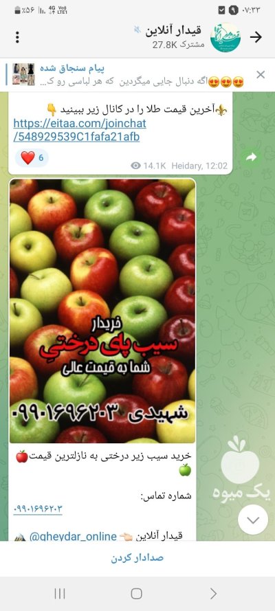 فروشنده سیب زیر درختی در قیدار در گروه خرید و فروش سیب در یکمیوه -عکس1