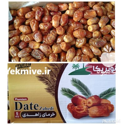 فروش انواع خرما صادراتی در تهران در گروه خرید و فروش خرما در یکمیوه -عکس3