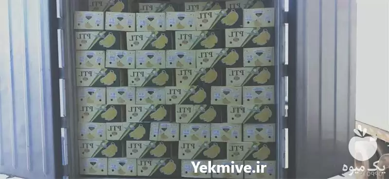 فروش موز درجه یک محصول کشور در گروه خرید و فروش موز در یکمیوه -عکس1