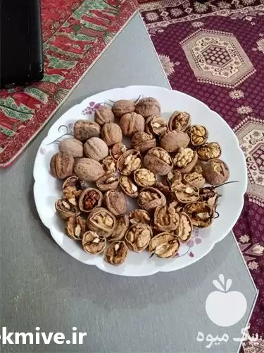 قیمت خرید گردوی درجه یک در مشهد در گروه خرید و فروش گردو در یکمیوه -عکس1