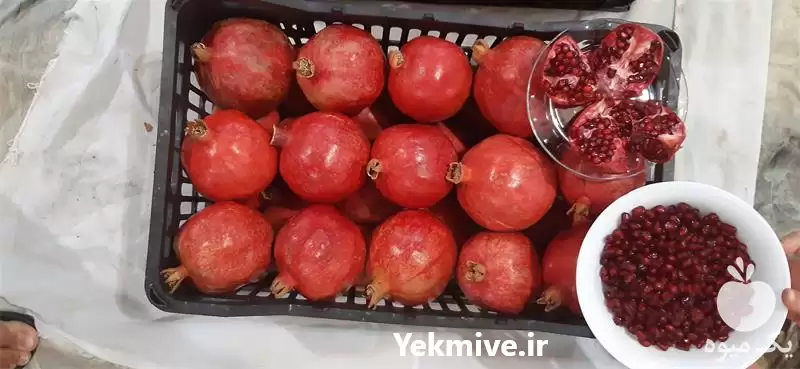 فروش انار قرمز شیرین عالی آبدار در یزد در گروه خرید و فروش انار در یکمیوه -عکس1