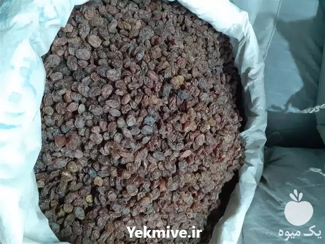 خرید فروش کشمش آفتابی تاکستان تازه در گروه خرید و فروش آجیل در یکمیوه -عکس1