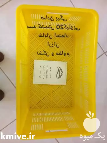فروش سبد کشمشی در تاکستان در گروه خرید و فروش انواع سبد در یکمیوه -عکس1