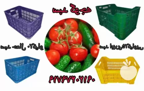 قیمت خرید سبد پلاستیکی در گروه خرید و فروش انواع سبد در یکمیوه -عکس1