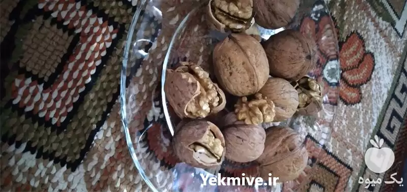 قیمت خرید گردوی الموت در گروه خرید و فروش گردو در یکمیوه -عکس1