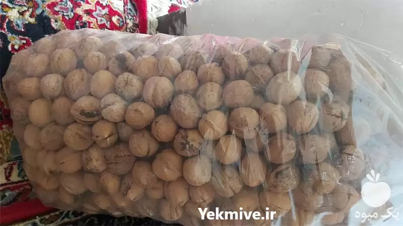 گردو فروش گردو در شیراز در گروه خرید و فروش گردو در یکمیوه -عکس1