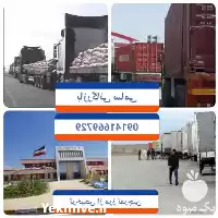 صادرات سیب درختی در گروه خرید و فروش سیب در یکمیوه