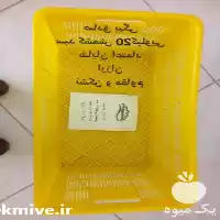 فروش سبد کشمشی در تاکستان در گروه خرید و فروش انواع سبد در یکمیوه