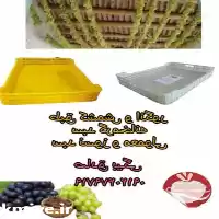 قیمت خرید طبق کشمش در تاکستان در گروه خرید و فروش انواع سبد در یکمیوه