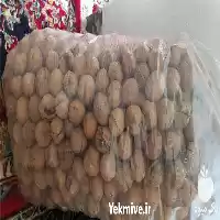 گردو فروش گردو در شیراز در گروه خرید و فروش گردو در یکمیوه