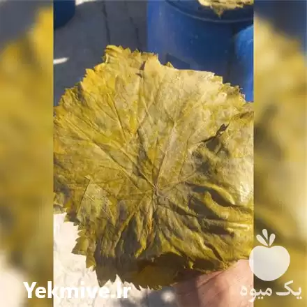 فروش عمده انواع ترشی در تبریز در گروه محصولات ترشی در یکمیوه -عکس1